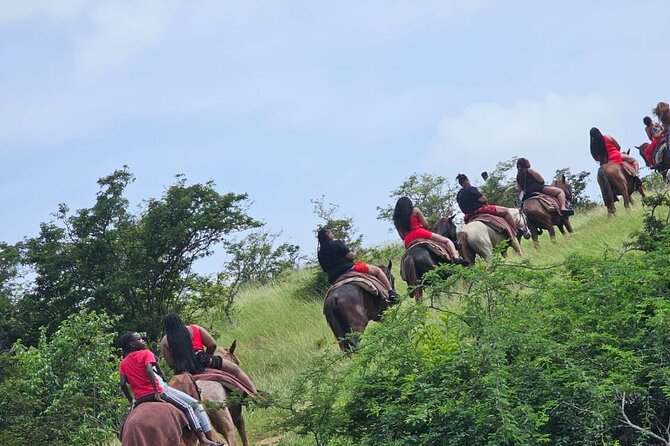Horseback Riding at Hawksbill Beach in Five islands Antigua - The first stretch is a real Antigua ride