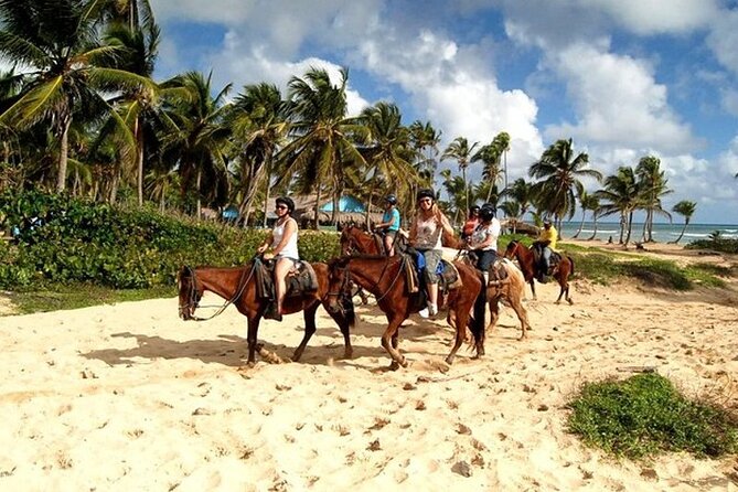 Horseback Riding at Macao Beach - Key points to know before booking