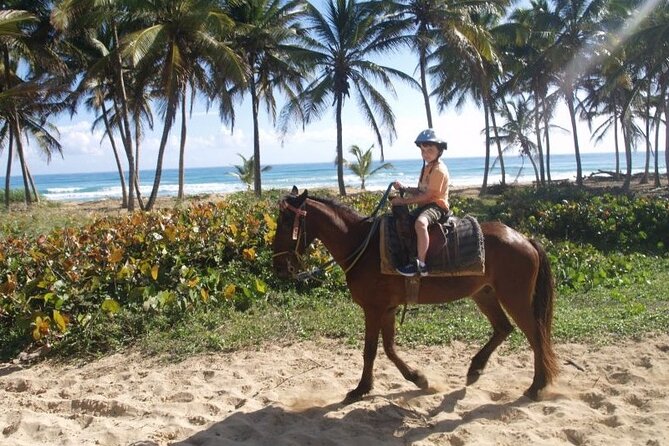 Horseback Riding at Macao Beach - Village, forest, and local tastings