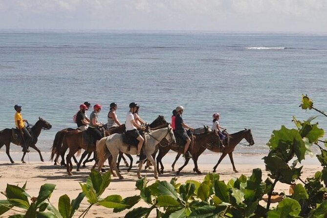 Horseback Riding at Macao Beach - Timing, pickup, and the value of the price