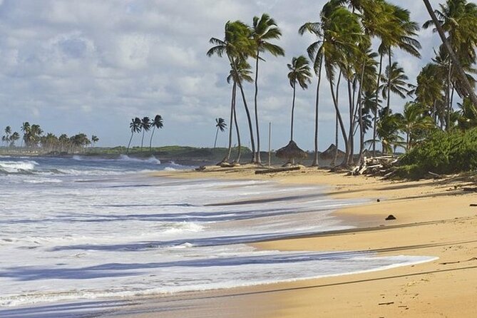 Horseback Riding at Macao Beach - My recommendation
