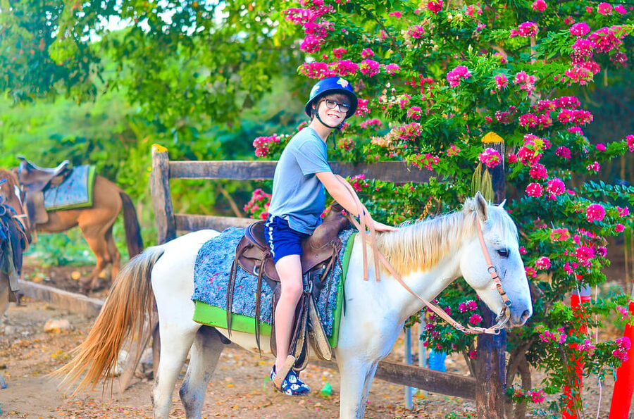 Horseback Riding at Macao Beach and River with Transfers - Small details that can improve your day