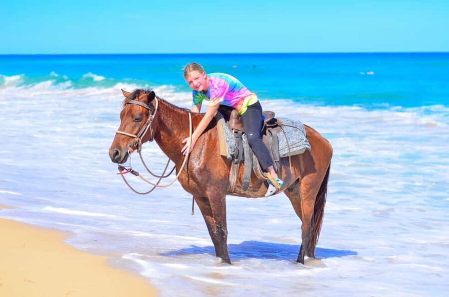 Horseback Riding at Macao Beach and River with Transfers - A three-hour ride with Macao Beach at its center