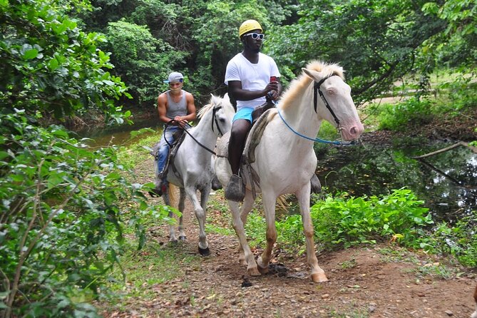 Horseback Riding at Macao Beach - The Macao Beach section