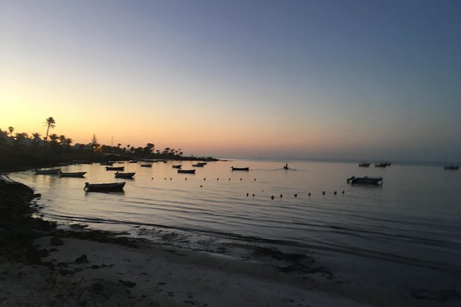 Horseback riding at sunrise 3h - Why the 4:00 am start is worth considering
