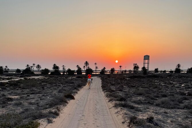 Horseback riding at sunrise 3h - Price and value at $52.48