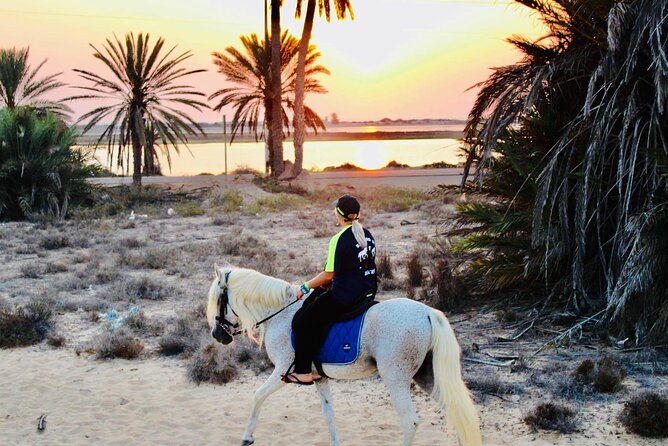 Horseback riding at sunrise 3h - Fitness, comfort, and the early hour