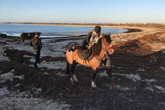 Horseback riding at sunrise 3h - Weather can shape the morning