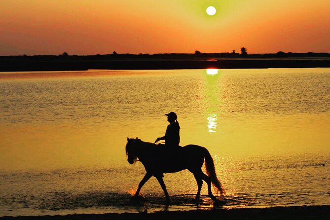 Horseback riding at sunrise 3h - Booking, meeting point, and return