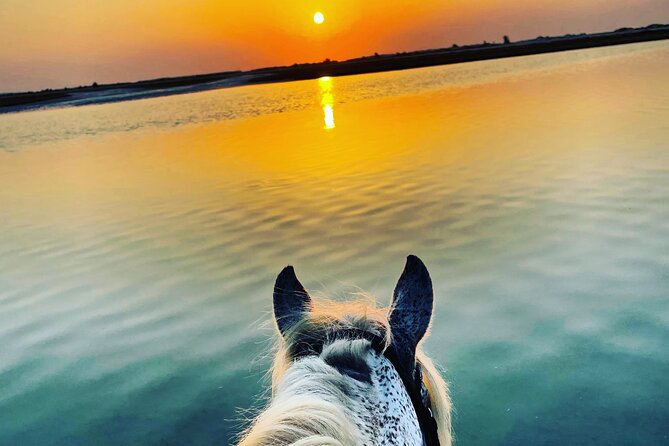 Horseback riding at sunrise 3h - A small group changes the feel