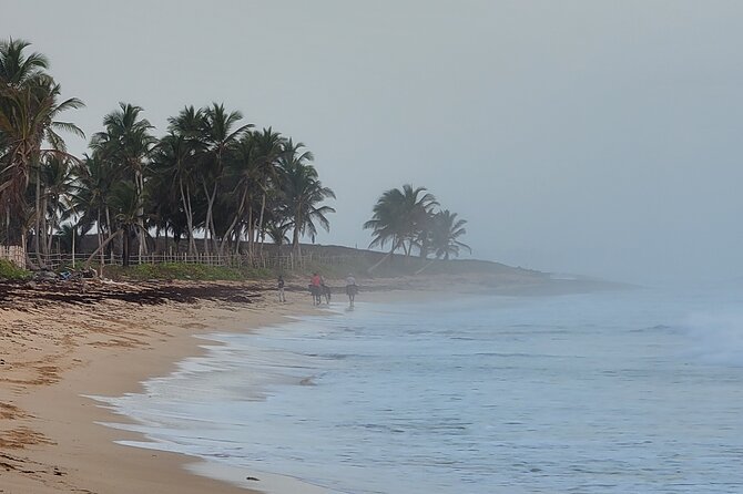 Horseback Riding at Sunrise on the Beach of Punta Cana - Photos, water, and what to confirm