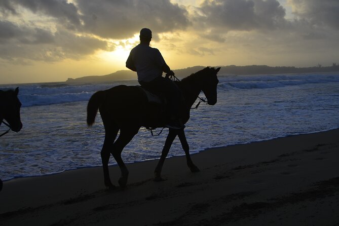 Horseback Riding at Sunrise on the Beach of Punta Cana - Weather and cancellation rules