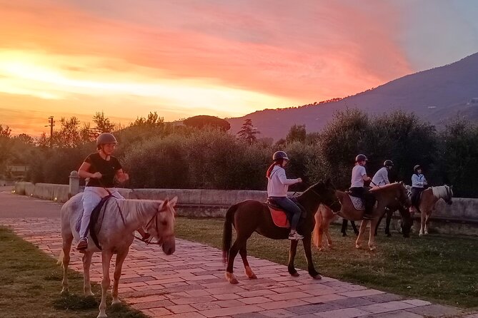 Horseback riding at sunset 1 hour at the Certosa di Pisa - Horses, equipment, and practical expectations