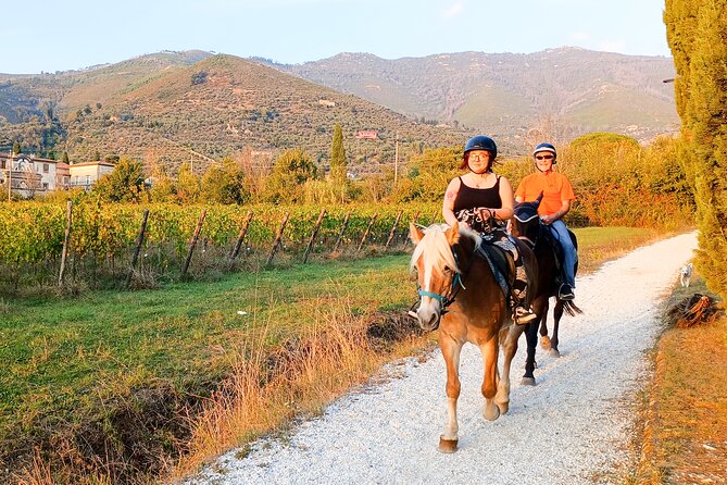 Horseback riding at sunset 1 hour at the Certosa di Pisa - What happens before you mount
