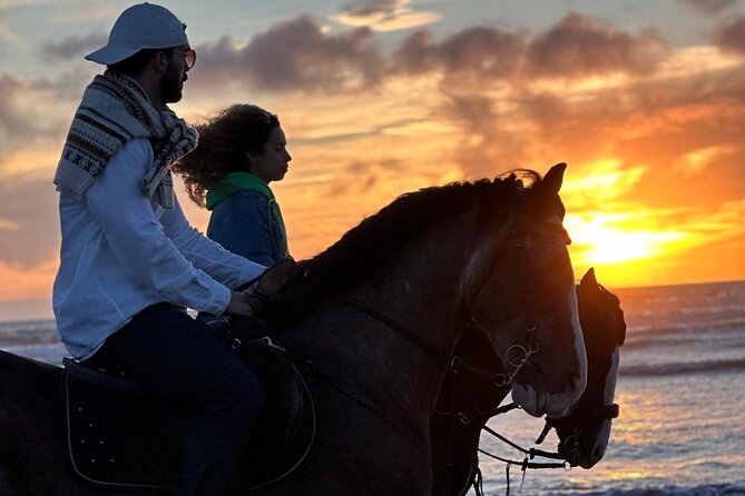 Horseback riding at sunset (2 hours) - Key points to know before you book