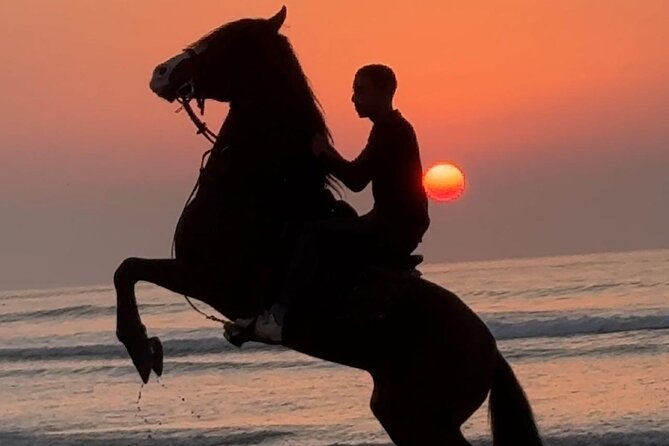 Horseback riding at sunset (2 hours) - What to bring and what not to expect