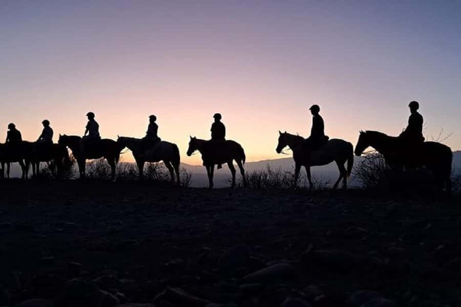 Horseback Riding at Sunset and Dinner in Mendoza - Key points to know before booking