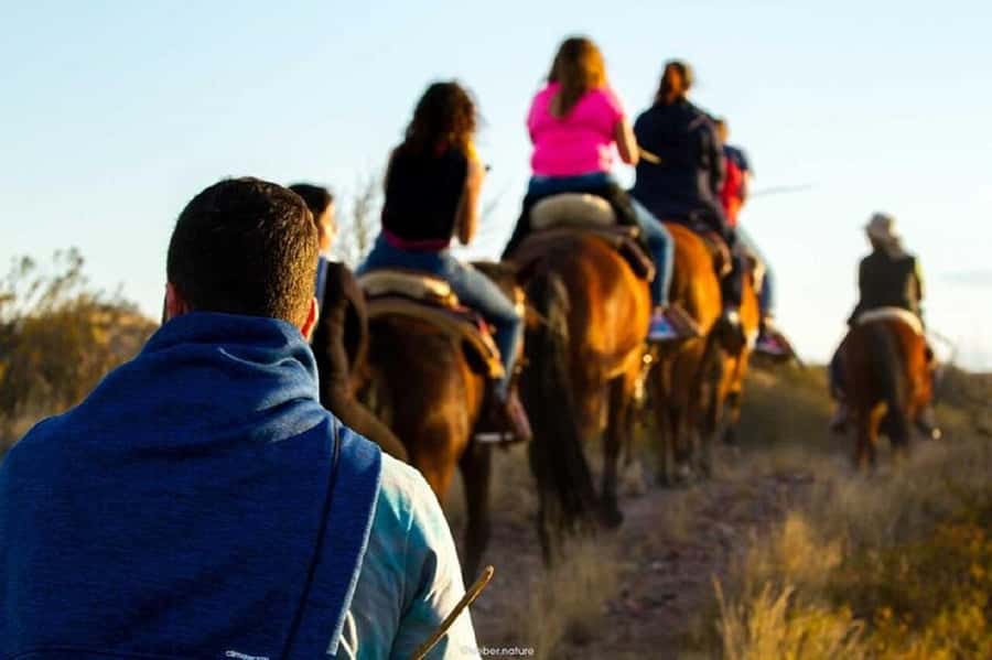 Horseback Riding at Sunset and Dinner in Mendoza - What the small group changes