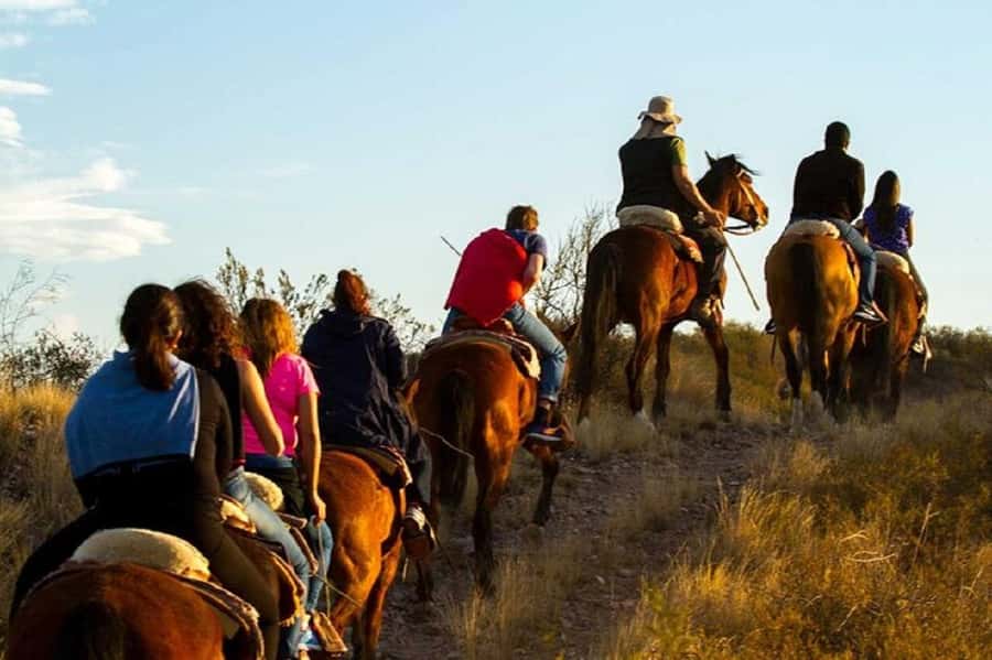 Horseback Riding at Sunset and Dinner in Mendoza - Who should book this evening