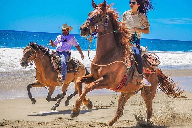 Horseback Riding & ATV Combo! Mountain Trails & Beautiful Beaches of BAJA! - From Cabo to Playa Migrino on the Pacific side