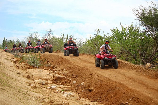 Horseback Riding & ATV Combo! Mountain Trails & Beautiful Beaches of BAJA! - Who will enjoy this Cabo outing most
