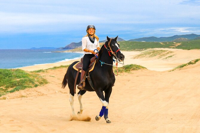 Horseback Riding Beach and Desert in Cabo - From your hotel to the Baja trail base