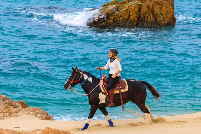 Horseback Riding Beach and Desert in Cabo - Fees, photos, and the real price