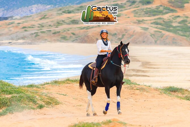 Horseback Riding Beach and Desert in Cabo - Safety, comfort, and practical limits