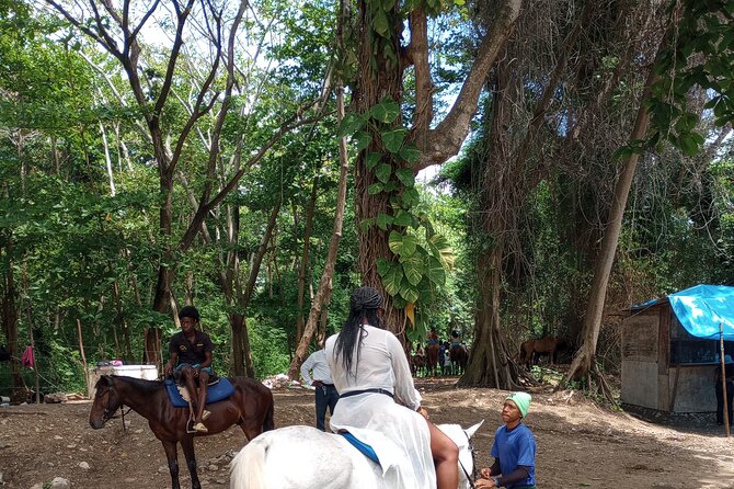 Horseback riding, Blue hole or Dunn's River Combo - A four to five hour Ocho Rios adventure