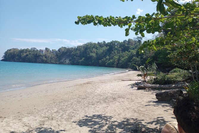 Horseback riding, Blue hole or Dunn's River Combo - Who will get the most from this tour