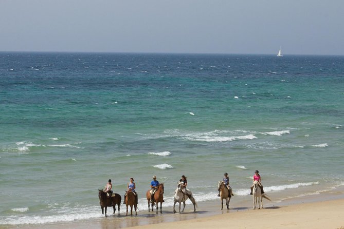 Horseback Riding by the beach or mountain in Tarifa, Spain - 1 to 2 hrs - Choosing your Tarifa ride: beach or mountain