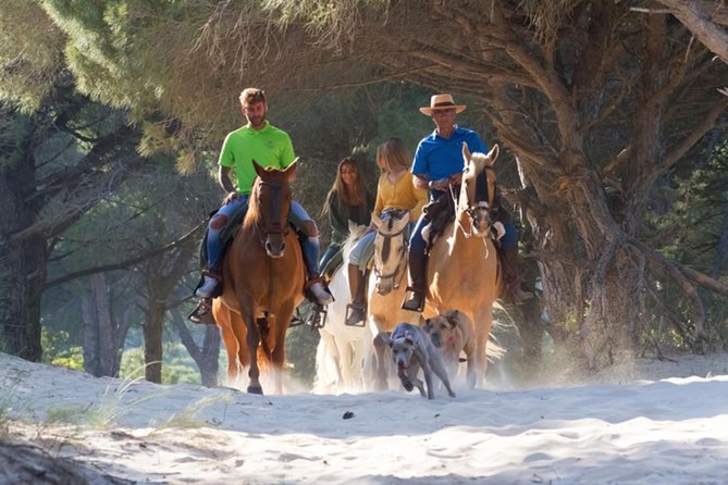 Horseback Riding by the beach or mountain in Tarifa, Spain - 1 to 2 hrs - Meeting the horses at Camping Tarifa