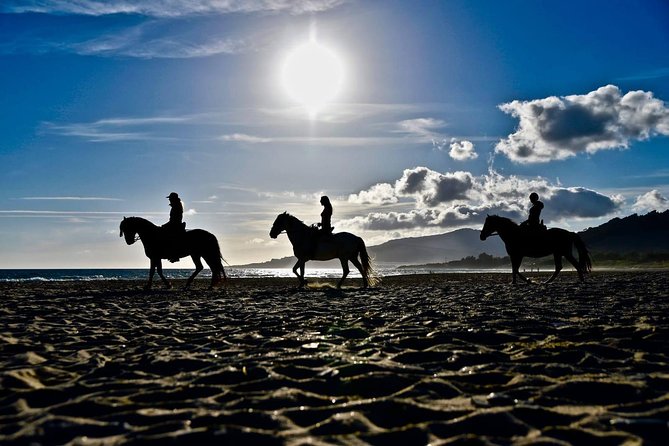 Horseback Riding by the beach or mountain in Tarifa, Spain - 1 to 2 hrs - Price, booking timing, and overall value