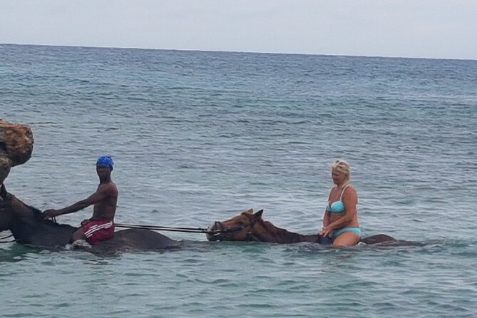Horseback Riding Dunn's River Falls Adventure from Montego Bay - The 8:00 a.m. start and Montego Bay pickup
