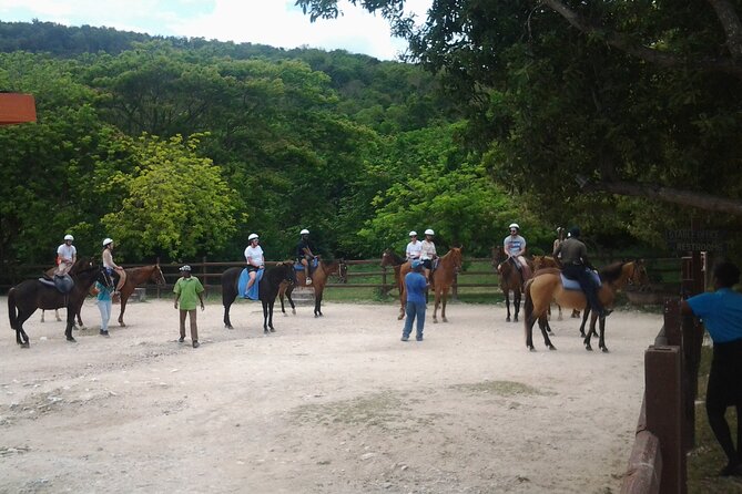 Horseback Riding Dunn's River Falls Adventure from Montego Bay - Who will enjoy this day most