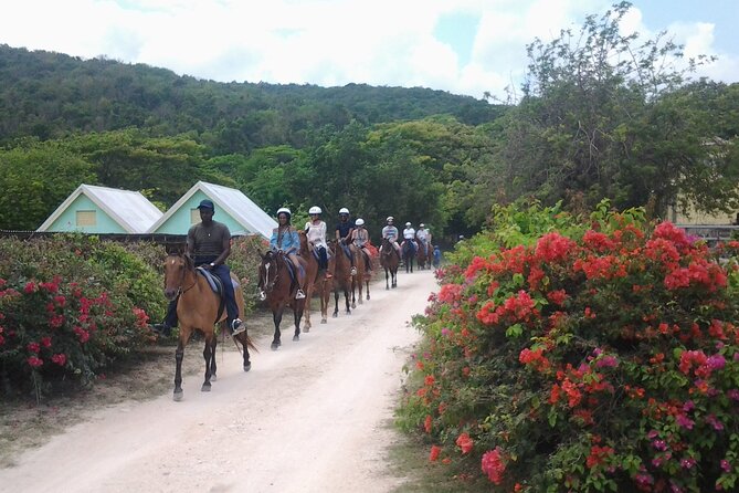 Horseback Riding Dunn's River Falls Adventure from Montego Bay - Practical questions to settle before you go