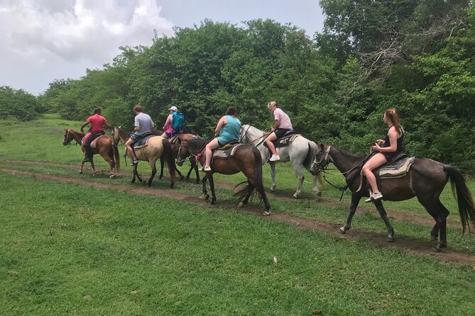 Horseback Riding Experience - Riding St. Croix at a slower pace