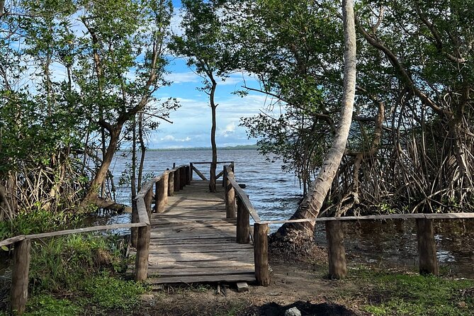 Horseback Riding - Experience between virgin beach and lagoon - Starting at Rancho La Petaka Near Playa Esmeralda