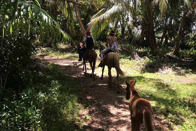 Horseback Riding - Experience between virgin beach and lagoon - Weather, Cancellation, and Practical Planning