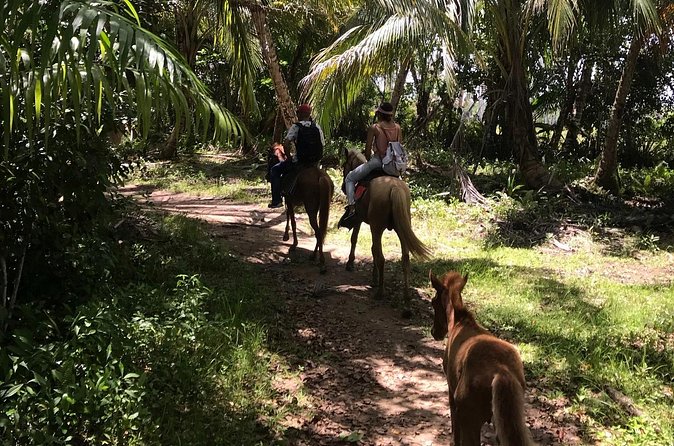 Horseback Riding - Experience between virgin beach and lagoon - Should You Book the Playa Esmeralda Horse Ride?