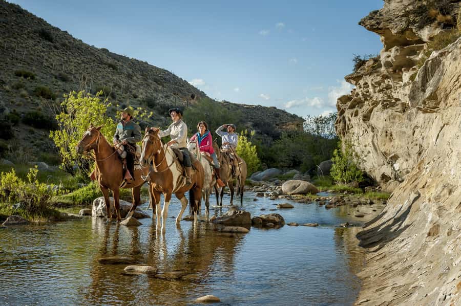 HORSEBACK RIDING EXPERIENCE - CAÑADONES & SADDLES - Key points to know before you book