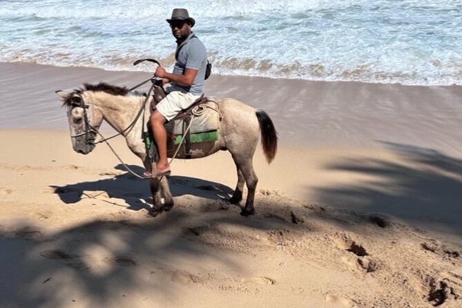 Horseback Riding Experience in Punta Cana - Getting from the resort to Uvero Alto