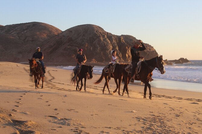 Horseback Riding Experience in Rancho San Cristobal - A beach ride with more than one kind of view