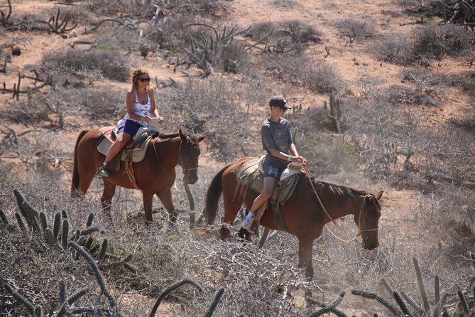 Horseback Riding Experience in Rancho San Cristobal - Stories about settlers, plants, and wildlife