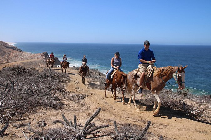 Horseback Riding Experience in Rancho San Cristobal - What the $156.40 price gets you
