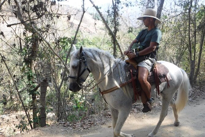 Horseback Riding Experience in Sierra Madre Mountains - Who will enjoy this ride most