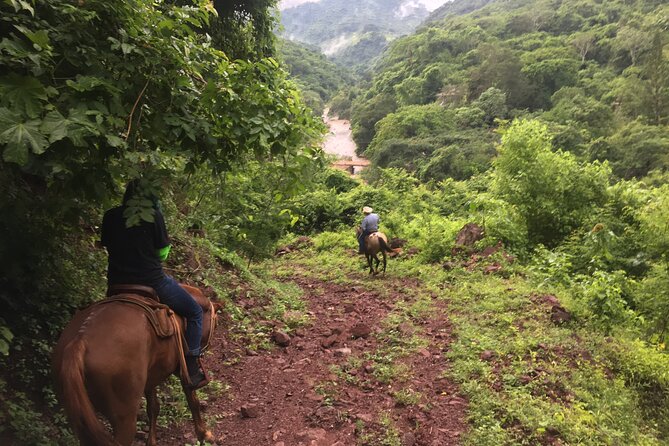 Horseback Riding Experience in Sierra Madre Mountains - Meeting a calm horse and settling into the saddle
