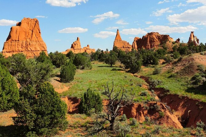 Horseback Riding Experience through Kodachrome with a Guide - Is $85 a Fair Price for One Hour?