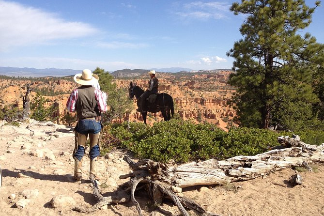 Horseback Riding Experience through Red Canyon with a Guide - Key points to know before booking