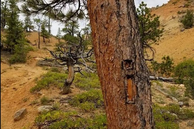 Horseback Riding Experience through Red Canyon with a Guide - Stories from Butch Cassidy country